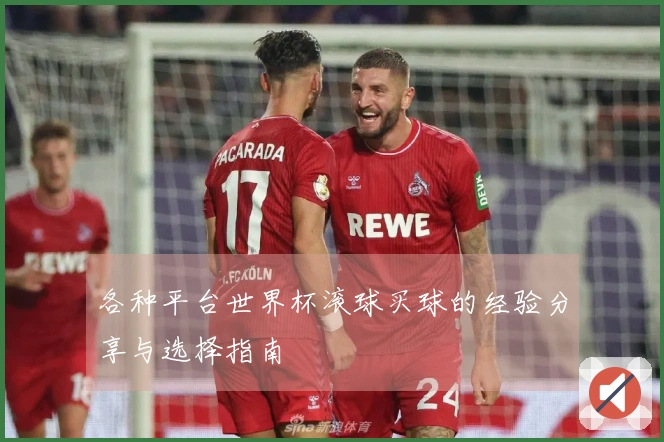 各种平台世界杯滚球买球的经验分享与选择指南