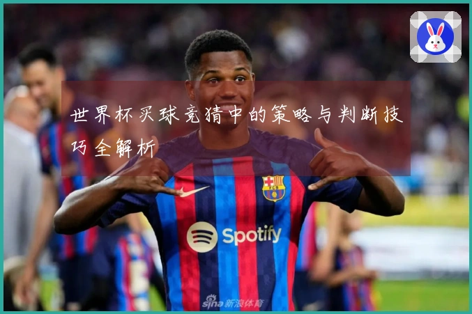 世界杯买球竞猜中的策略与判断技巧全解析