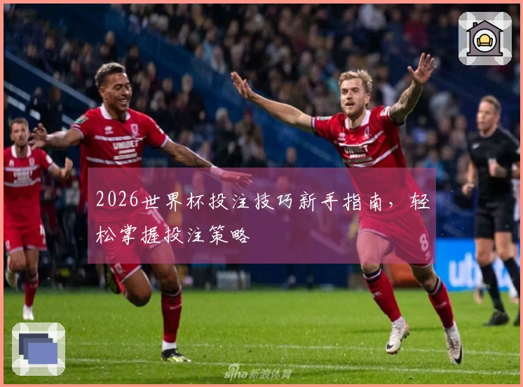 2026世界杯投注技巧新手指南，轻松掌握投注策略