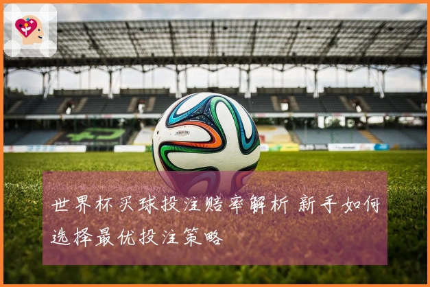 世界杯买球投注赔率解析 新手如何选择最优投注策略