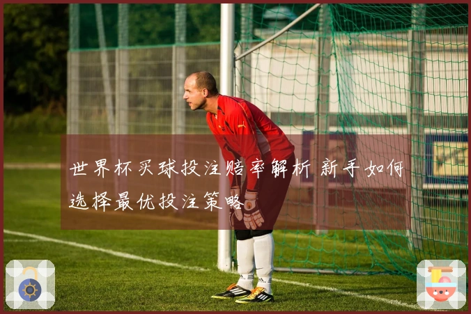 世界杯买球投注赔率解析 新手如何选择最优投注策略