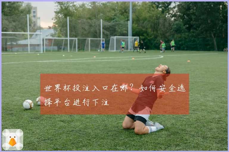 世界杯投注入口在哪？如何安全选择平台进行下注