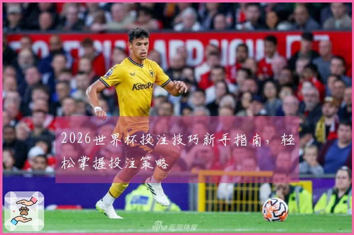 2026世界杯投注技巧新手指南，轻松掌握投注策略