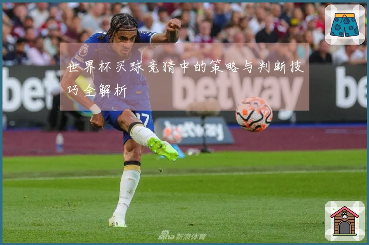 世界杯买球竞猜中的策略与判断技巧全解析