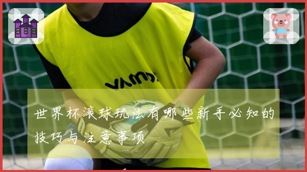 世界杯滚球玩法有哪些新手必知的技巧与注意事项